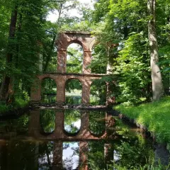 Ruiny mostu w Kołbieli, porośnięte zielenią, odbijają się w spokojnej wodzie.