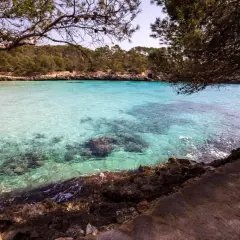 Cala Mondragó: turkusowa woda, skaliste wybrzeże i sosny tworzą idylliczny krajobraz.