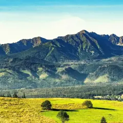 Sierockie widoki na Tatry z zielonymi łąkami i lasami.