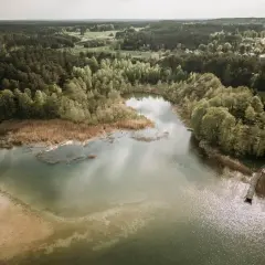Malownicze jezioro Świętajno otoczone lasem, z piaszczystym brzegiem i drewnianym pomostem.