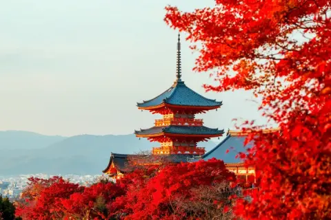 Piękna pagoda w Kioto otoczona jesiennymi liśćmi. Zastanawiasz się, czy do Japonii potrzebna jest wiza?