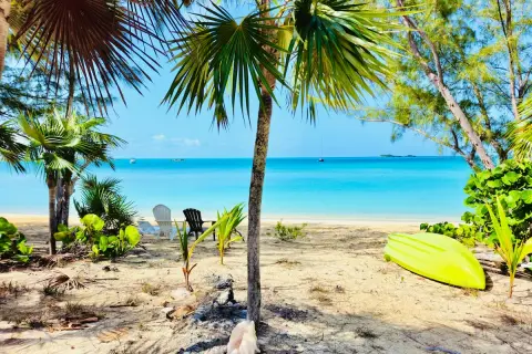 Rajska plaża z palmami, leżakami i kajakiem. Idealne miejsce na wypoczynek, jak na **cat island**.