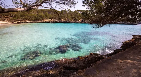Cala Mondragó: turkusowa woda, skaliste wybrzeże i sosny tworzą idylliczny krajobraz.