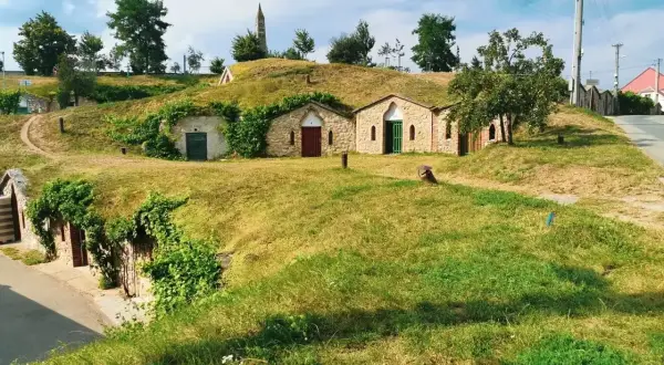 Kamienne piwniczki winne w malowniczej dolinie Morawy, porośnięte zielenią, z charakterystyczną wieżą w tle.