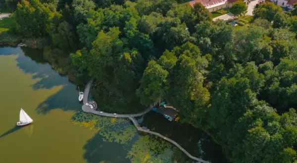 Malownicze jezioro w Torzymiu z żaglówką, drewnianym pomostem i otaczającym lasem.