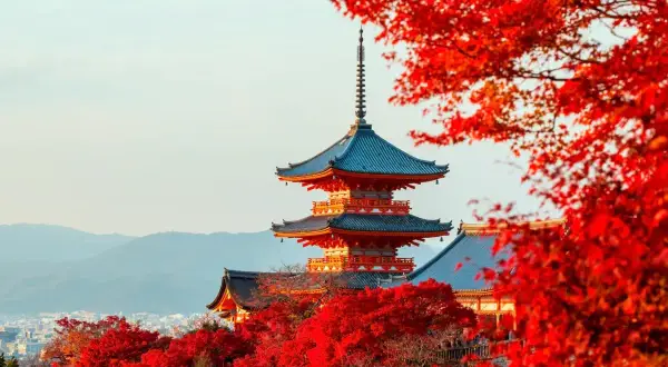 Piękna pagoda w Kioto otoczona jesiennymi liśćmi. Zastanawiasz się, czy do Japonii potrzebna jest wiza?