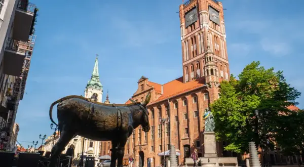 Pomysł na weekend w Toruniu? Zobacz słynnego osiołka na Rynku Staromiejskim, podziwiaj gotycki ratusz i poczuj atmosferę miasta Kopernika.