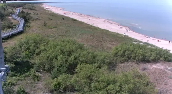 Drewniana kładka prowadzi do plaży nad Bałtykiem, gdzie widać ludzi. W oddali rozciąga się spokojne morze, a krajobraz uzupełniają zielone zarośla.