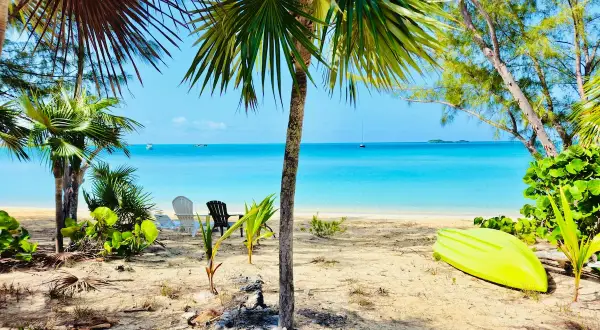 Rajska plaża z palmami, leżakami i kajakiem. Idealne miejsce na wypoczynek, jak na **cat island**.