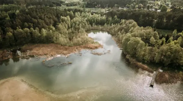 Malownicze jezioro Świętajno otoczone lasem, z piaszczystym brzegiem i drewnianym pomostem.