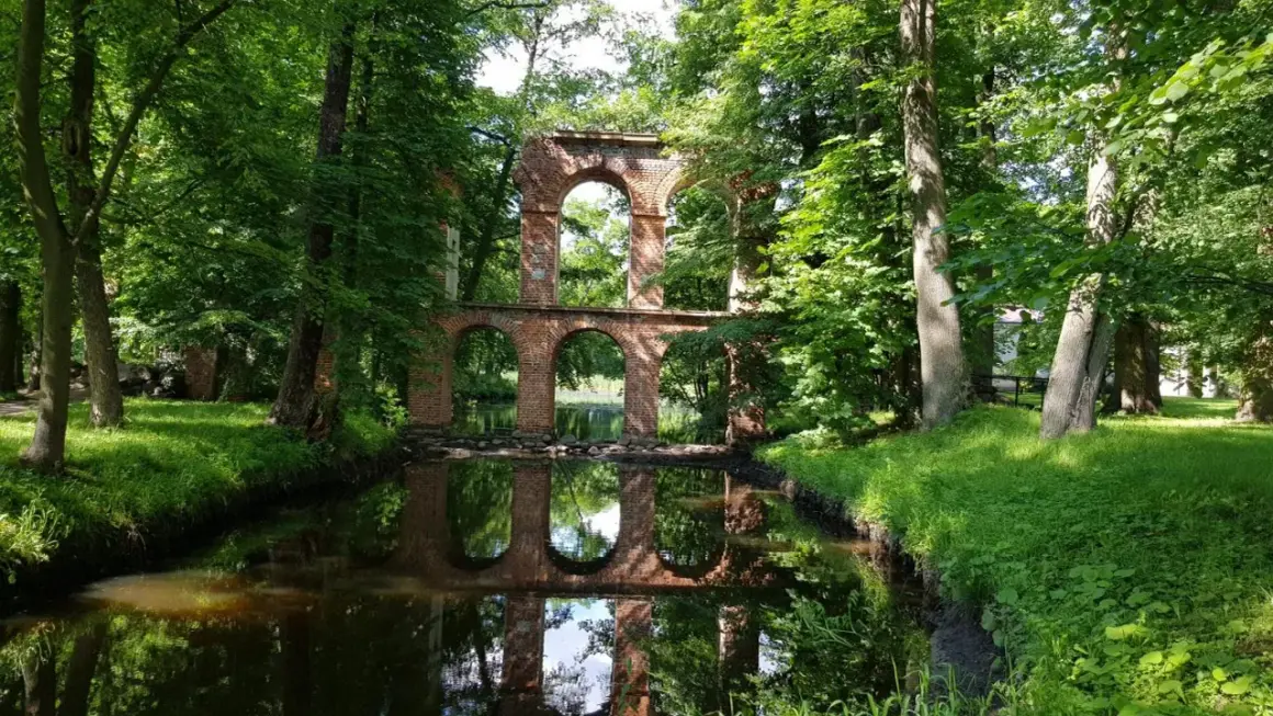 Ruiny mostu w Kołbieli, porośnięte zielenią, odbijają się w spokojnej wodzie.