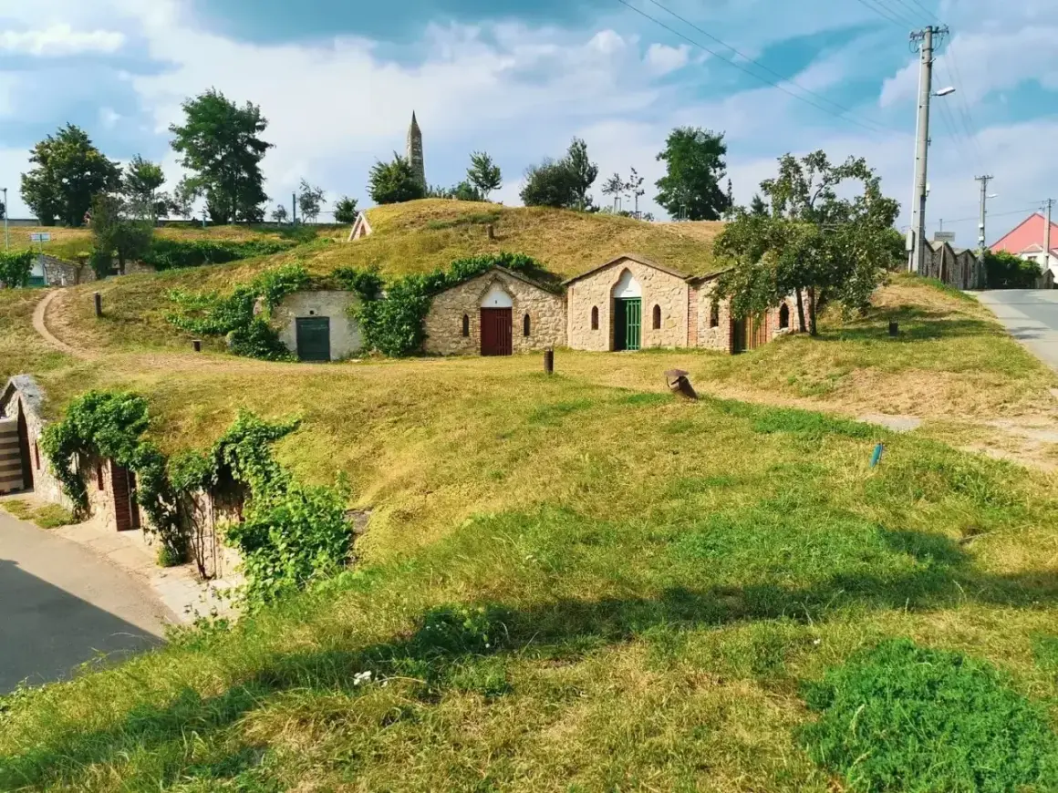Kamienne piwniczki winne w malowniczej dolinie Morawy, porośnięte zielenią, z charakterystyczną wieżą w tle.
