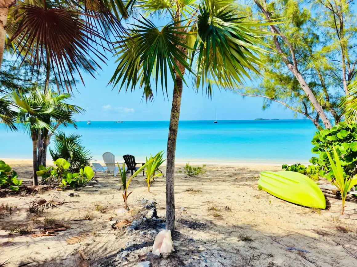 Rajska plaża z palmami, leżakami i kajakiem. Idealne miejsce na wypoczynek, jak na **cat island**.