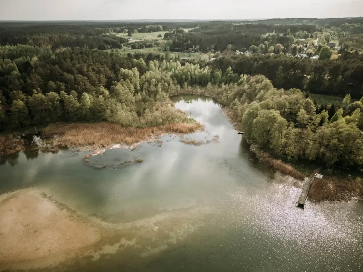 Malownicze jezioro Świętajno otoczone lasem, z piaszczystym brzegiem i drewnianym pomostem.