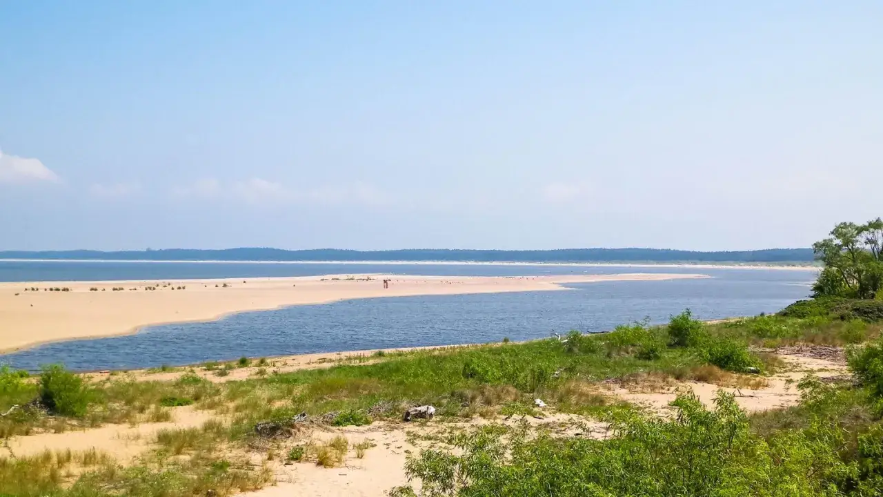 Piękna majówka nad wodą. Piaszczysta plaża, spokojna zatoka i zielone zarośla tworzą idealne miejsce na odpoczynek.
