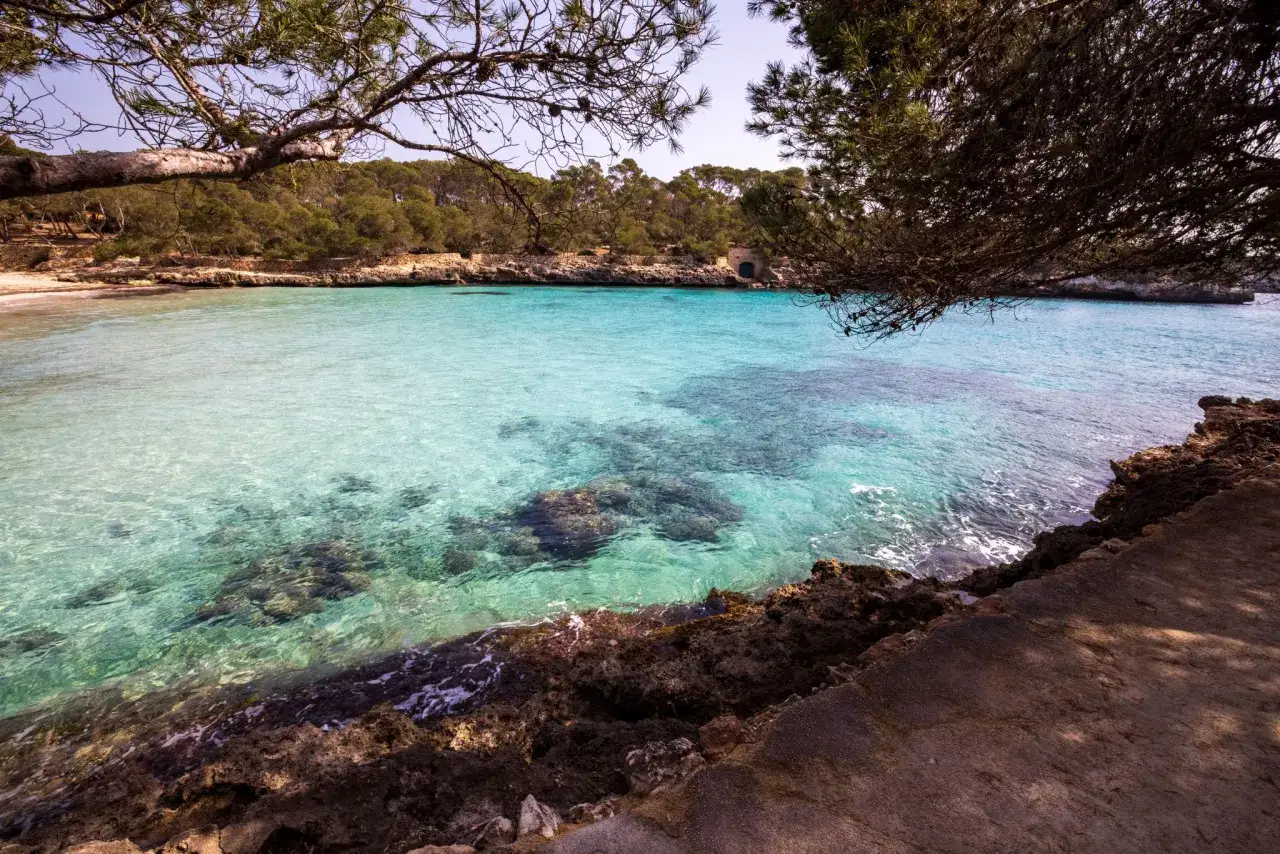 Cala Mondragó: turkusowa woda, skaliste wybrzeże i sosny tworzą idylliczny krajobraz.