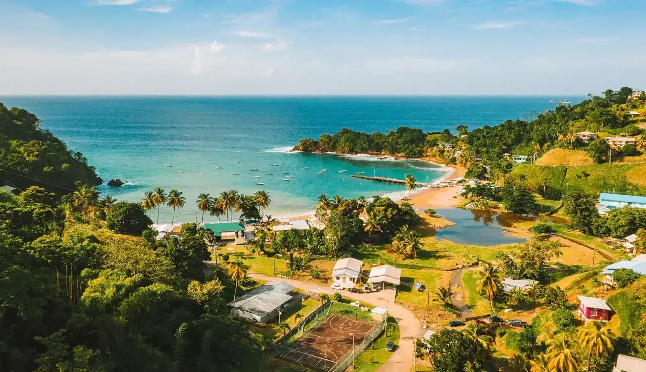 Rajska zatoka z turkusową wodą, plażą i palmami. Idealne miejsce na Barbados wakacje, z domkami i kortem tenisowym.