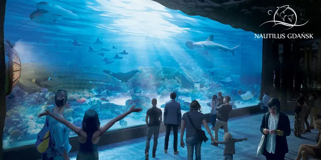 Nautilus Gdańsk: zobacz rekiny i płaszczki w akwarium. Sprawdź aktualny oceanarium gdańsk cennik i zaplanuj wizytę!