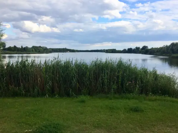 Spokojny dzień nad jeziorem, z gęstym **budzyń**em przy brzegu i chmurami na niebie.