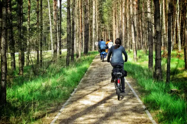 Grupa rowerzystów przemierza malowniczą kaszubską marszrutę przez sosnowy las.