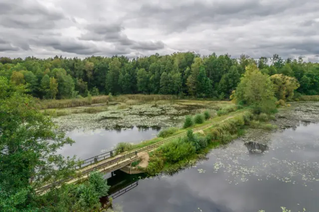 Puszcza Białowieska - atrakcje i plan na 1, 2 lub 3 dni